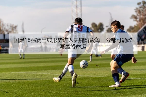 img_1780685710356_50_1_539.jpg
